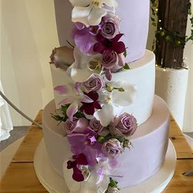 fwthumbn cake 1.jpg